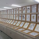 영남대학교 자연박물관 이미지