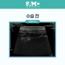 경기동물메디컬센터 이미지