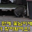 일 년 만에 꽃님이새끼 고노가 찾아왔어요! 이미지