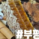 마이요거트립(부평점) 이미지