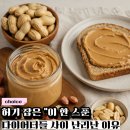 대박땅콩 | 참기 힘든 허기, 배고플 때마다 먹었다는 땅콩잼 다이어트 후기 대박