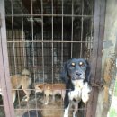 영국2농장 이미지