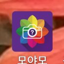 모야모