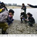 사단법인 한국동물구조관리협회 이미지