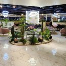 센트럴파이온 이미지