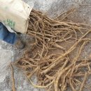 별이네농장 이미지