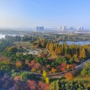 「허송세월」 ③ 저자 : 김훈 著 + 일산호수공원