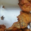 뉴맥시칸 이미지