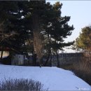 광성식당 이미지