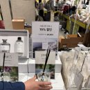 할인파이브 | 청주 현대커넥트 팝업스토어 퓨어파이브 후기｜향수 할인 + 사쉐 증정 이벤트까지