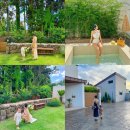 제주하뭄 이미지