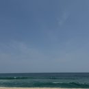 수디 이미지
