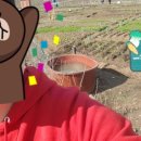 서림동-16 네이버블로그