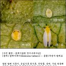 경창건설기계
