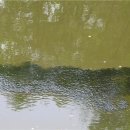 동물식물 생태 체험교실 이미지