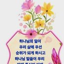 샬롬 Daum카페