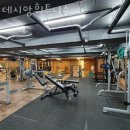 데시앙휘트니스 이미지