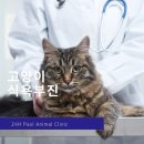 마이펫종합동물병원 이미지
