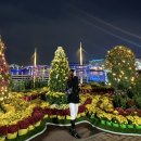 세모공원 | 2025 마산 국화축제 &amp; 세모로 페스타 낭만항구 (주차정보)