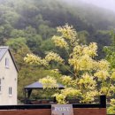 천안소소펜션 이미지