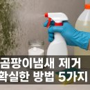 스트레스 Zero 드럼(수시접수) | 곰팡이냄새 제거 확실한 방법 5가지