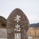 백안상회