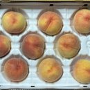 금화 2농장 이미지