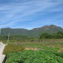 장풍숲입구 이미지