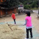 쇠꼴마을 이미지