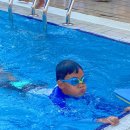 Swimming Gala-Fast swims and plenty of house pride! 이미지