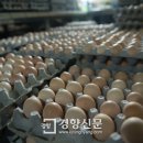 너른마당축산