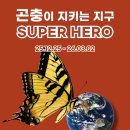 양주곤충박물관 이미지