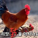 토정축산 이미지