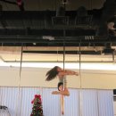 라인댄스초급 | 일산 폴댄스 폴린이 국화의 586회차 수업 후기 초급 엘보 스노우 플라워