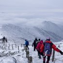 내려놓음 이미지