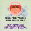 류마제통의원 이미지