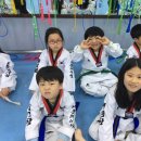 세종의 아침 태권도 이미지