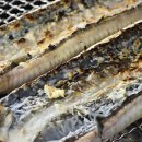 금빛장어 이미지