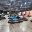 최고카랜드 | 서울랜드 사람 없이 15개 타고 온 찐 꿀팁 후기