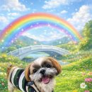 리틀포즈 반려동물 장례식장 이미지