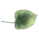 울알라애견미용 이미지