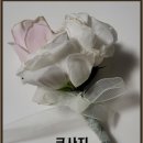 화훼장식기능사 티스토리