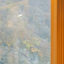 감귤박물관 야외화장실 이미지