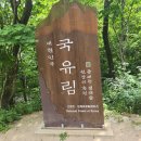 인제연가리오토캠핑장펜션 이미지