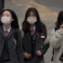 완화경로당 티스토리