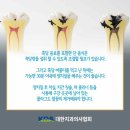 42좋은치과의원 이미지