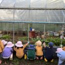 나무와새어린이집 이미지