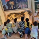 경기도야생동물구조관리센터 이미지