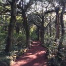 비자림민박 이미지