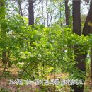 가좌공원 이미지